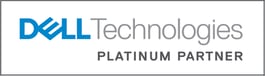 DT_PlatinumPartner_4C-1