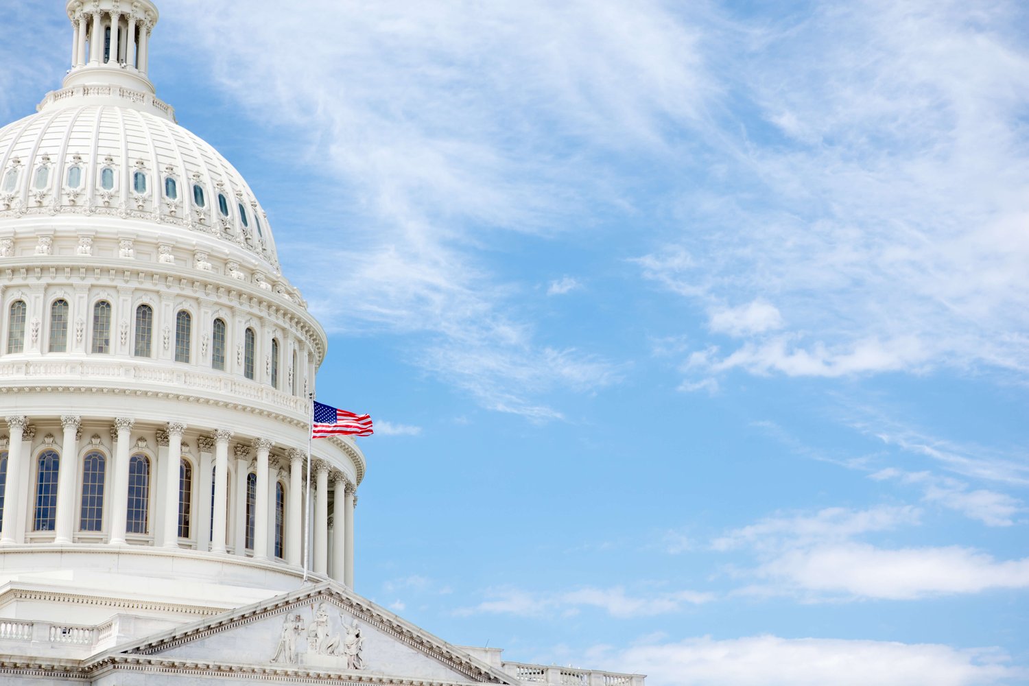 Government Technology Solutions