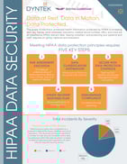 Risk Assessment-Security Services-DynTek v4_Page_1