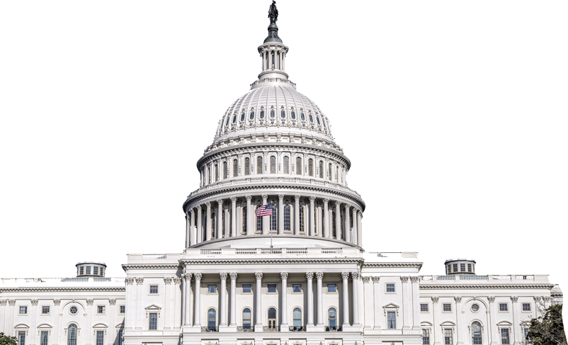 government